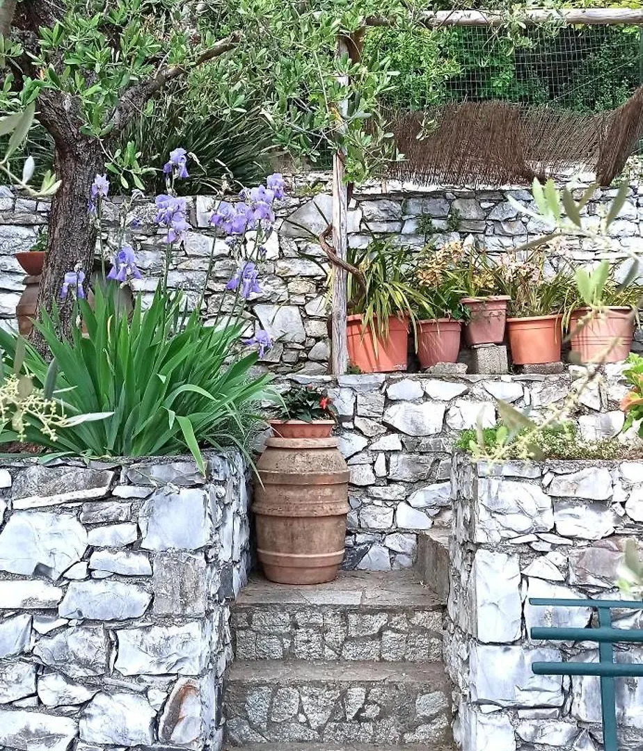 La Piazzetta Di Gra E Baldo Apartment Sestri Levante Italy